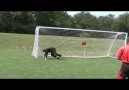 St. Louis Goalkeeping  Academy elite training