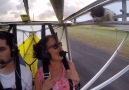 Stowaway Cat Stuns Pilot in Mid-Air