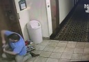 Stranger Saves Dog in Elevator