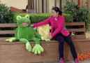 Stuffed Frog CHARMS The Ladies!