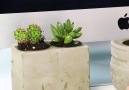 Stylish DIY concrete planters. Great desk decoration!bit.ly2dQQEnf