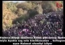 SubhanAllah bu insanlar bu şirke nasıl düşüyorlar Allahtan korkun!