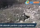 SÜBHANALLAH !!! HİÇ BALIK SESİ DUYDUNUZ MU?