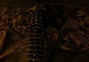 Sucker Punch - 2011 - TR Dublaj - PART 4
