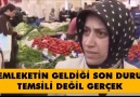 Suçlu hükümet değil asıl suç her şeyi kabullenen bu halk..!