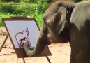 Suda - The Painting ElephantCredit