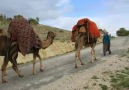 Şu Karşı Yaylada Göç Katar Katar..Geçti Dost Kervanı.. PAYLAŞ