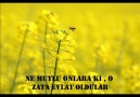 Süleymanlı Evlatları-Müziksiz Ezgi