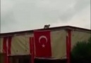 Şu nankör dediğiniz kediciğin yaptığına bakınız.. Helal olsun...