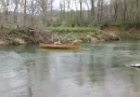 Superdog Rescues Dogs Stuck In Boat