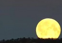 . Supermoon following the ridge while rising ..please rate 1 ok 10 best