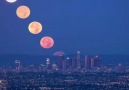 Super moon in Los Angeles