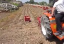 Süper Patates Hasat Makinesi !