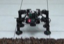 Süper Robot
