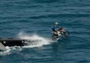 Surfing Motorbike