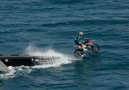 Surfing Motorbike