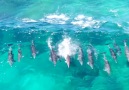 Surf&up in Western Australia Video Jaimen Hudson