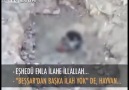 Suriye'de diri diri gömülen adam