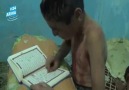 Suriyeli Yaralı Çocuğun Kur'an Okuyuşu..