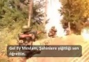Suriye Ordusu Çöl Şahinleri Tugayı - Senin Nurunda Yürüyoruz Ey Haydar !