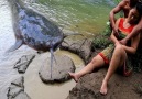 Survival Skills - Dig A Traps Catch Fish In The River Facebook