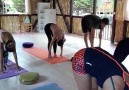 Surya Namaskara ile güne başladık...