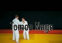 SUTEMI WAZA Fuente CLICKON JUDO