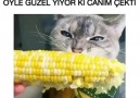 Sütlü mısır canı çeken !!