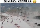 Şu uçarak gelenlerden biride ben... - Aklım Sende Kalsın İster Misin