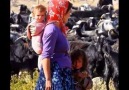 Şu Yabancı Eller Bana Iraktır