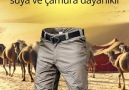 Suya ve darbelere karşı dayanıklı askeri... - Desert Max Pantolon