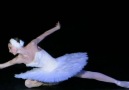 Svetlana Zakharova
