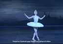 Swan Lake Svetlana Zakharova - Ballet love photos & videos