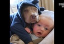 Sweet Kids With Pets Video Compilation 2016