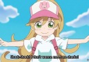 Sweetness & Lightning - Sharks