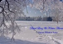 Sweet Winter Love - DAVID LANZ ft KRISTIN AMARIE