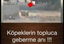 Tabutculara gün Doğdu