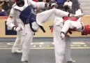 Taekwondo News le 24 avril