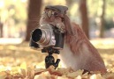 Tag a friend who needs a photography lesson from this bunny!By @mumitan