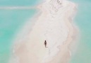 Tag who youd walk with Video by @mikevisuals Epic sandbar in the of the ocean