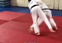 Tai Otoshi ( Body drop ) ... - JUDO MANIA JAPAN