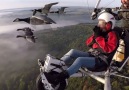 Take a magnificent flight with geese