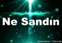 TALHA BORA ÖGE SESİNDEN " NE SANDIN ŞİİRİ "