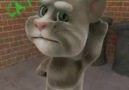 Talking Tom İlahi Versiyon