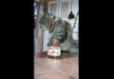 Tam bir Türk kızı kedisi )))