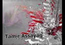 Tamir Assayag - Everyone (Original Mix Radio Edit) [HD]