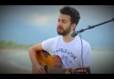 Taner Çolak - Gül Güzeli