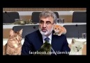 Taner Yıldız'ın Kedi Lobisi ile İmtihanı.. :)