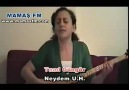 Tanil Güngör  --  Neydem