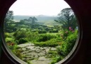 Tant de verdure au Hobbiton Village